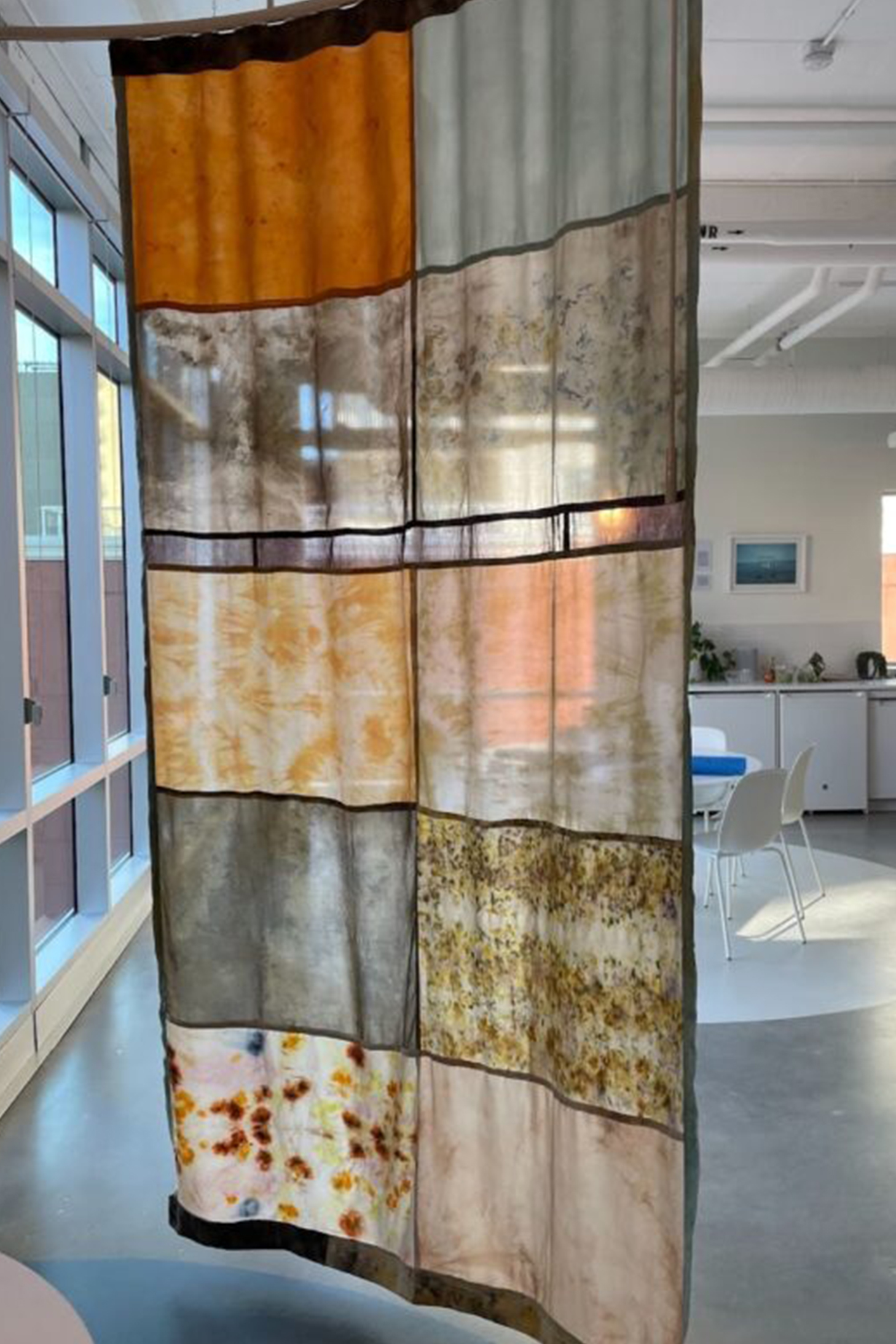 Alma Visscher's finished installation of plant stained and dyed fabric panels hanging in the hcma Edmonton office.