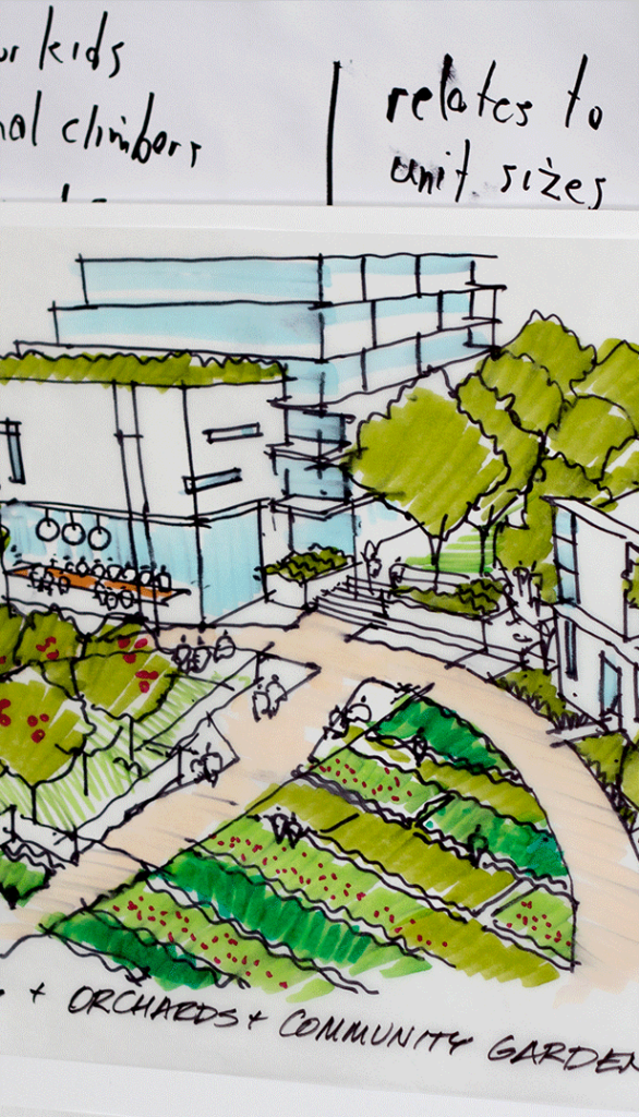 Close up, coloured drawing displaying co-housing, orchards and community garden.
