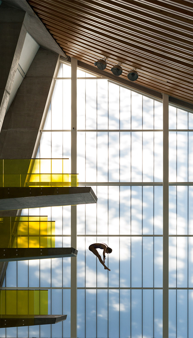A diver photographed in silhouette mid-dive in front of various platform diving heights at the Grandview Heights Aquatic Centre.